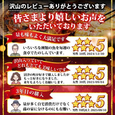 ふるさと納税 沼津市 【訳あり】干物 1.8kgおまかせセット 海鮮詰め合わせ(アジ、ホッケ、他) |  | 02