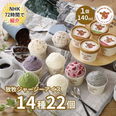 ふるさと納税 伊達市 自社牧場直営ジャージーアイスクリーム14種22個のセット