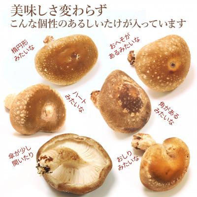ふるさと納税 南魚沼市 【家庭用】厚いにもほどがある「八色しいたけ」750g(250g×3袋) 訳あり 不揃い 農家応援 |  | 03