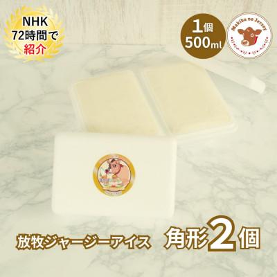 ふるさと納税 伊達市 自社牧場直営ジャージーアイスクリーム角形パック ミルク2個セット