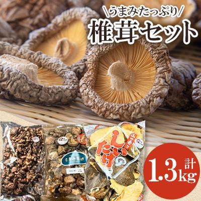 ふるさと納税 豊後大野市 茂里商店社長のイチ押し!しいたけセット 計1.3kg