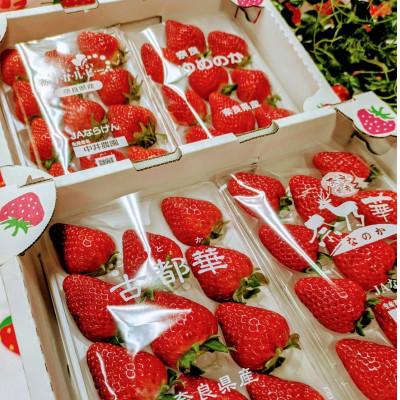 ふるさと納税 天理市 奈良県産いちごの食べ比べセット