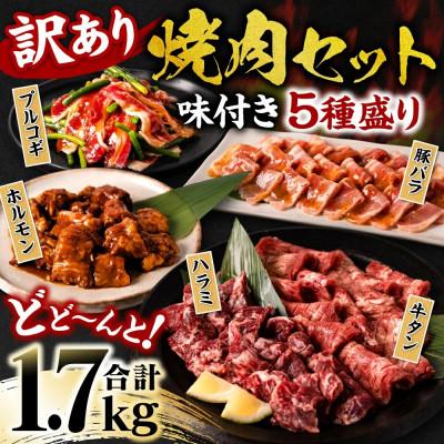 ふるさと納税 八代市 [訳あり]焼肉セット5種盛り 計1.7kg タン ハラミ ホルモン プルコギ 豚バラ