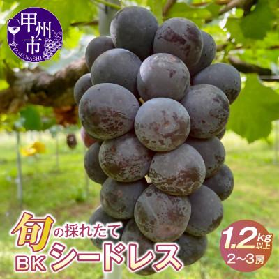 ふるさと納税 甲州市 [2026年先行受付]山梨県産 旬の採れたて種なしBKシードレス1.2kg以上 (2〜3房)