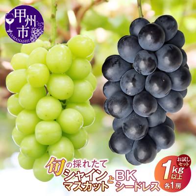ふるさと納税 甲州市 [2026年先行受付]お試しセット!旬の採れたてシャインマスカット&amp;BKシードレス 1.0kg以上