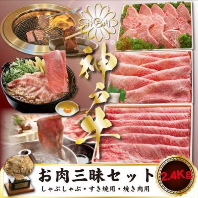 ふるさと納税 上郡町 神戸牛 お肉三昧セットすき焼き・しゃぶしゃぶ・焼肉 計2400g KGSYS10