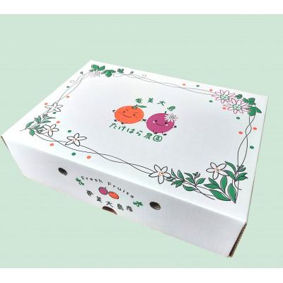 ふるさと納税 瀬戸内町 [先行受付][2027年2月上旬以降順次発送]たけはら農園のたんかん(化粧箱入り2kg)