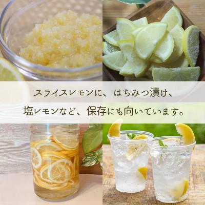 ふるさと納税 松山市 【順次発送中】 グリーンレモン 約2.5kg 家庭用 防腐剤、ワックス不使用 |  | 01