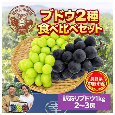 ふるさと納税 中野市 長野県中野市産のぶどう　2種食べ比べセット　計1kg(2〜3房) | 