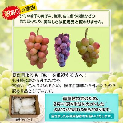 ふるさと納税 中野市 長野県中野市産のぶどう　2種食べ比べセット　計1kg(2〜3房) |  | 02