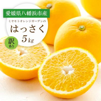 ふるさと納税 八幡浜市 [先行受付]ぷりぷり!酸味さわやか 八朔(はっさく) 5kg[訳あり][C25-188]