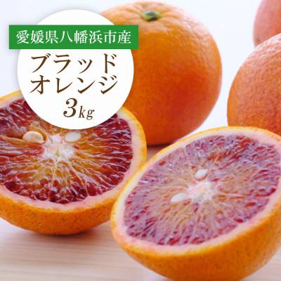 ふるさと納税 八幡浜市 [先行受付]愛媛県八幡浜市産 ブラッドオレンジ(タロッコ)3kg[C25-189]