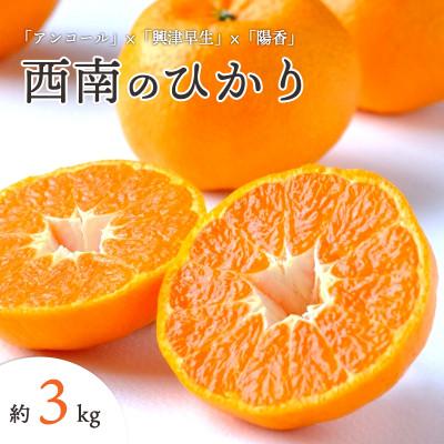 ふるさと納税 八幡浜市 [先行受付]愛媛県八幡浜市産 西南のひかり 3kg[C25-191]