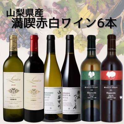ふるさと納税 山梨県 おすすめワイナリー赤白6本セット　019 | 