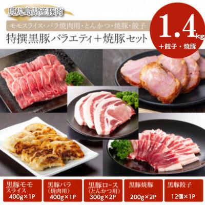 ふるさと納税 鹿屋市 鹿児島黒豚 バラエティ 焼豚セット [和田養豚] 51027