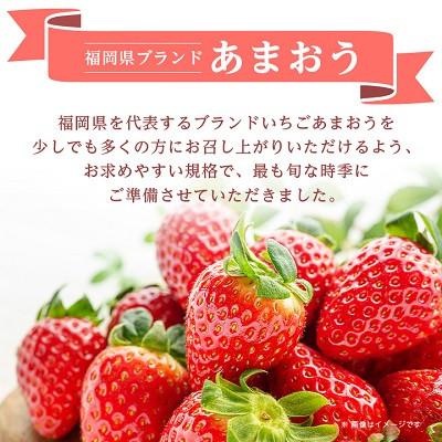 ふるさと納税 遠賀町 【数量限定】【2027年3月下旬発送開始】福岡県産春採れあまおう 約250~270g×4パック |  | 01