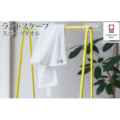 ふるさと納税 今治市 (今治タオル)ランドスケープスポーツタオル 1枚 オフホワイト[IA05210OW]