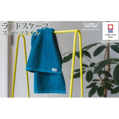 ふるさと納税 今治市 (今治タオル)ランドスケープスポーツタオル 1枚 グリーン[IA05210G]