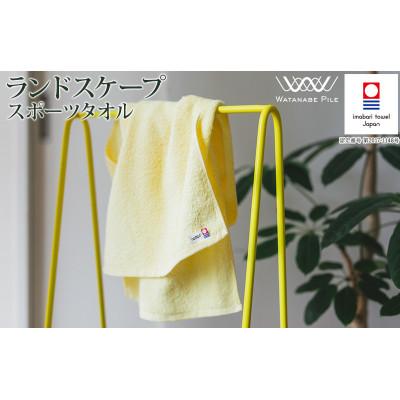 ふるさと納税 今治市 (今治タオル)ランドスケープスポーツタオル 1枚 イエロー[IA05210Y]