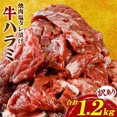 ふるさと納税 八代市 [訳あり]牛ハラミ 焼肉 (軟化加工) 塩味 300g×4パック 合計1.2kg