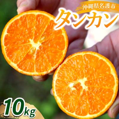 ふるさと納税 名護市 [2026年1月〜2月頃順次発送]JAおきなわ北部共選 タンカン 10kg