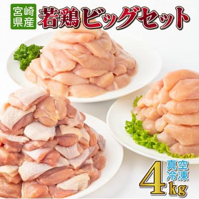 ふるさと納税 串間市 若鶏4kgビッグセット(串間市)