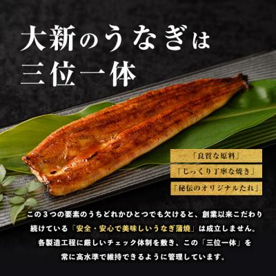 ふるさと納税 指宿市 鹿児島県産うなぎ蒲焼じっくり焼き約125g×3尾 IB021-008_2