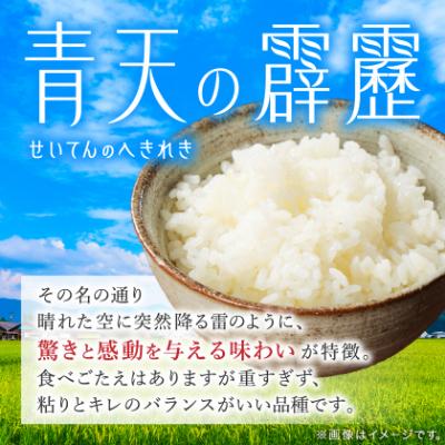 ふるさと納税 青森市 【令和7年産】青森県産　青天の霹靂5kg(精米) |  | 01