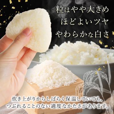 ふるさと納税 青森市 【令和7年産】青森県産　青天の霹靂5kg(精米) |  | 02