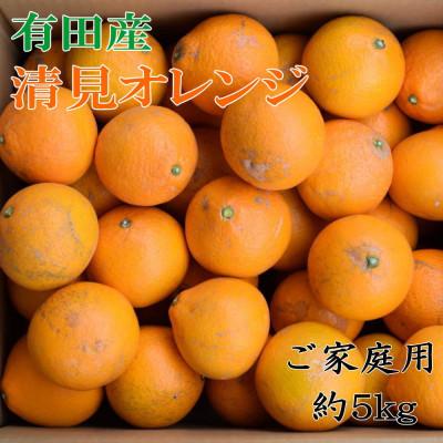ふるさと納税 湯浅町 [濃厚]有田産清見オレンジ約5kg(M〜3Lサイズいずれかまたは混合)ご家庭用(湯浅町)