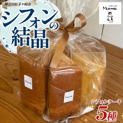ふるさと納税 茅ヶ崎市 [シフォンの結晶]しっとりふわふわシフォンケーキ5種 17cmサイズ 食べ比べ グルメ ギフト