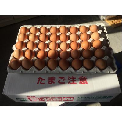 ふるさと納税 高岡市 越中名水赤たまご M 80個
