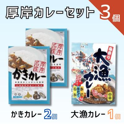 ふるさと納税 厚岸町 厚岸 カレーセット 計3個(かきカレー&lt;中辛&gt;2個、大漁カレー&lt;中辛&gt;1個)