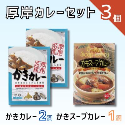 ふるさと納税 厚岸町 厚岸 かきカレーセット 計3個(かきカレー&lt;中辛&gt;2個、かきスープカレー&lt;辛口&gt;1個)