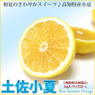 ふるさと納税 芸西村 [ご贈答用]土佐小夏 5kg・サイズ2S〜L