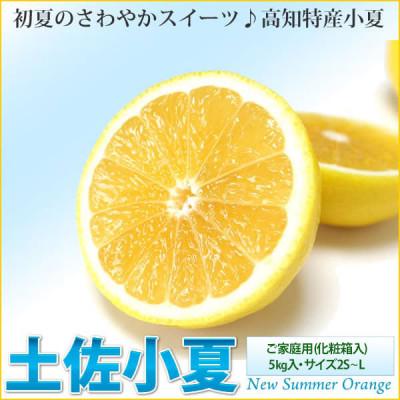 ふるさと納税 芸西村 [ご家庭用]土佐小夏 5kg・サイズ2S〜L