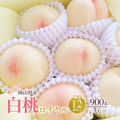 ふるさと納税 高梁市 2026年発送 岡山産 白桃 ロイヤル 3玉入り 合計約900g