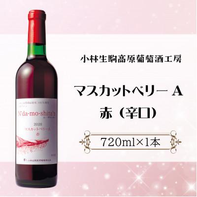 ふるさと納税 小林市 [高原のフレッシュワイン]マスカットベリーA(赤・辛口)