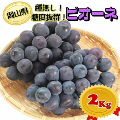 ふるさと納税 津山市 【2027年発送】糖度抜群ぶどう【青秀,優品】岡山産!種なしピオーネ2kg以上(3〜4房)ギフトにも | 