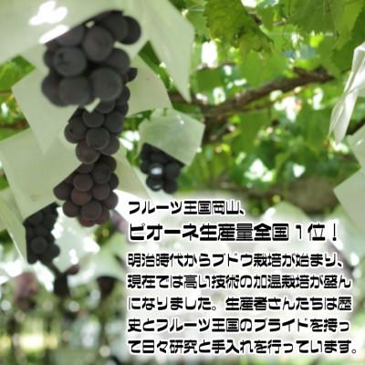 ふるさと納税 津山市 【2027年発送】糖度抜群ぶどう【青秀,優品】岡山産!種なしピオーネ2kg以上(3〜4房)ギフトにも |  | 01
