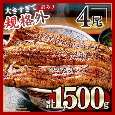 ふるさと納税 宇美町 訳あり うなぎ蒲焼 4尾 規格外 計1,500g