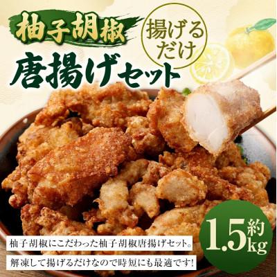 ふるさと納税 高鍋町 柚子胡椒唐揚げセット 約1.5kg(約300g×5パック)