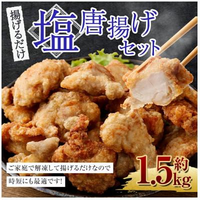 ふるさと納税 高鍋町 塩唐揚げセット 約1.5kg(約300g×5パック)
