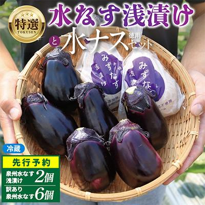ふるさと納税 泉佐野市 特選無添加 水なす浅漬けと訳あり水ナス 合計8個セット