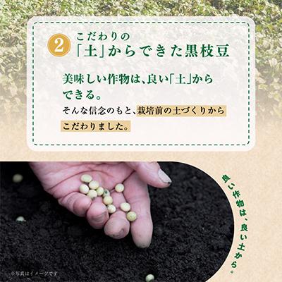 ふるさと納税 泉佐野市 【畑から直送】朝採り黒枝豆 3.6kg |  | 02