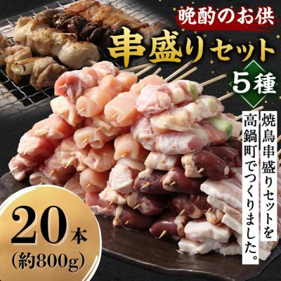 ふるさと納税 高鍋町 晩酌のお供 串盛り(5種)セット 約800g(計20本)
