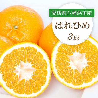 ふるさと納税 八幡浜市 [先行受付]愛媛県八幡浜市産 はれひめ3kg[C25-206]