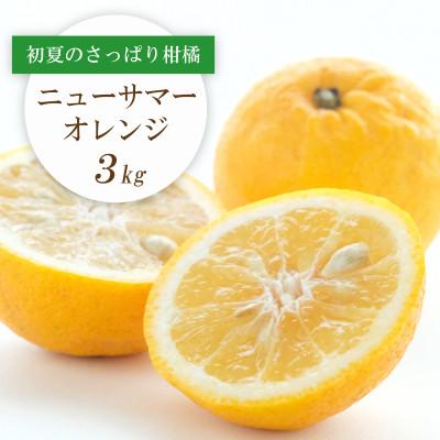 ふるさと納税 八幡浜市 ワタまでおいしい ニューサマーオレンジ 3kg[C25-212]