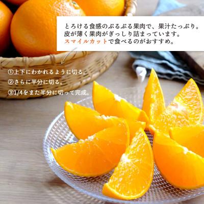 ふるさと納税 八幡浜市 【2026年発送】甘平×まどんな「紅 ふるさと納税 八幡浜市 【2026年発送】甘平×まどんな「紅