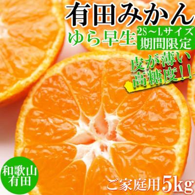 ふるさと納税 美浜町 有田みかん 約5kg ご家庭用 和歌山 ゆら早生 極早生 (SS、S、M、Lサイズ)[美浜町]